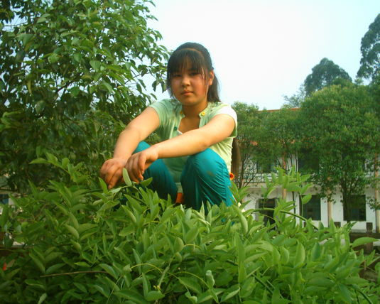 2006  (61)